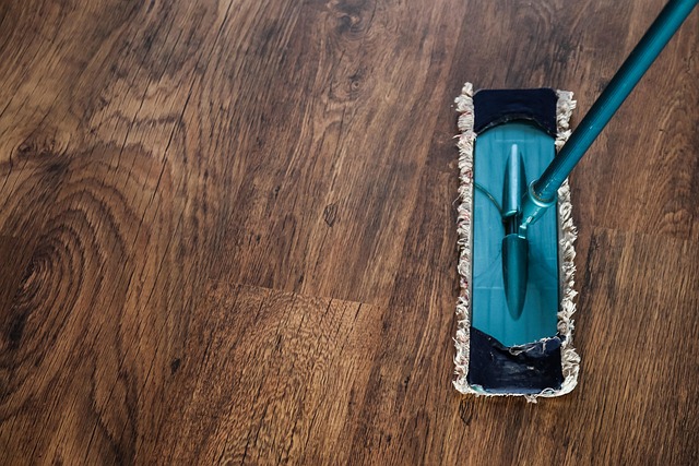 drain cleaning