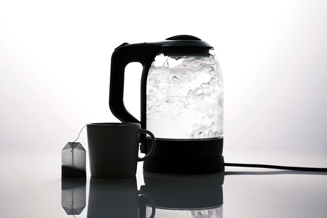electric water heater