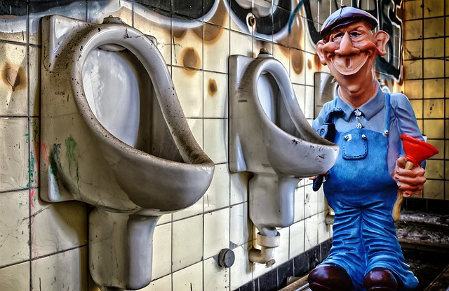 plumber with camera