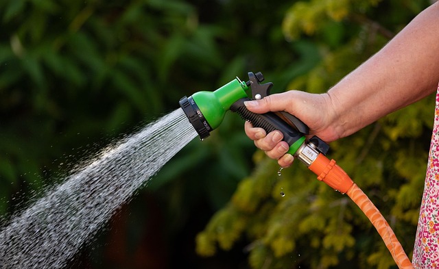 water pipes