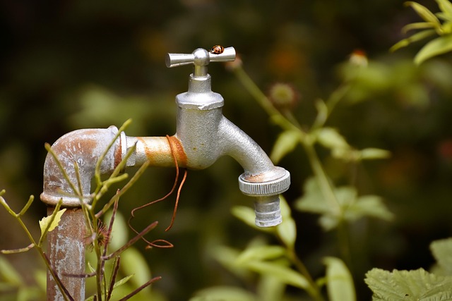 water pipes