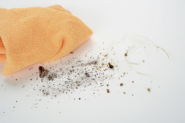 drain cleaning