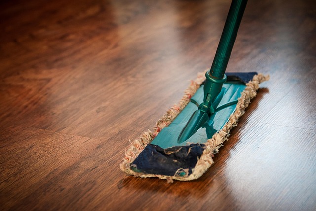 drain cleaning
