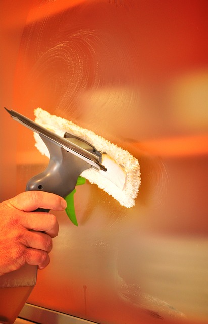drain cleaning everett