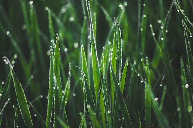 Hydro Jetting Services in Everett