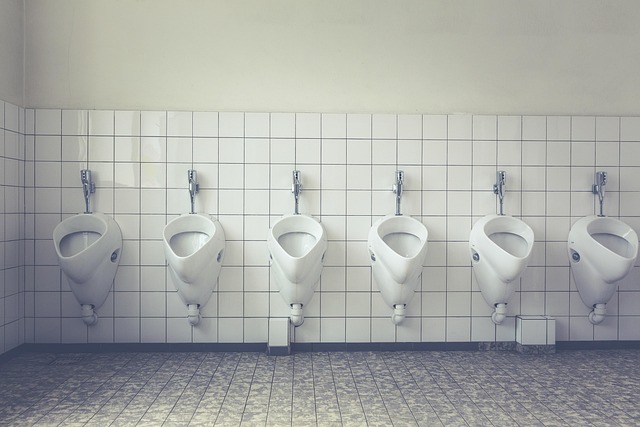 leaking toilet