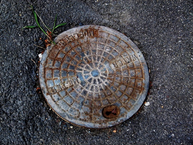 sewer inspection
