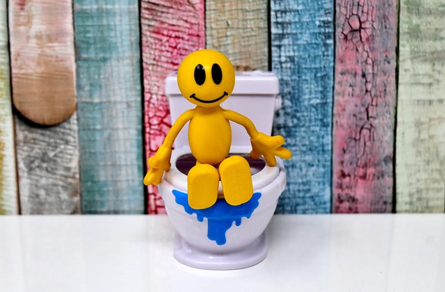 toilet parts