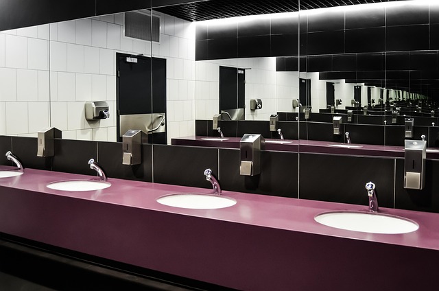 toilet repair everett