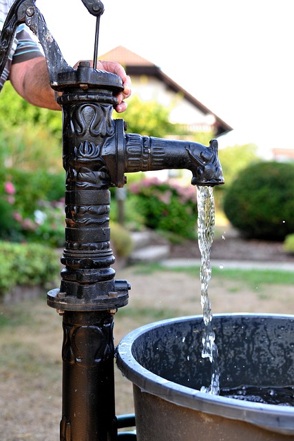 water pump