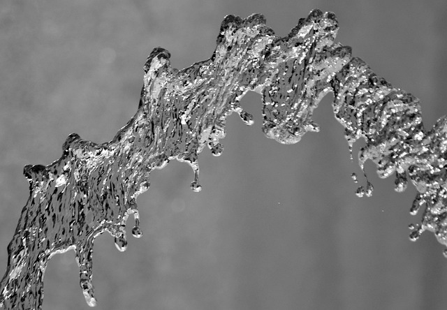 water pump