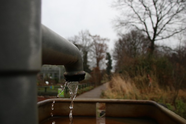 water pump