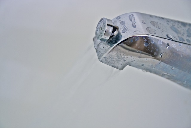 commercial plumbing services everett