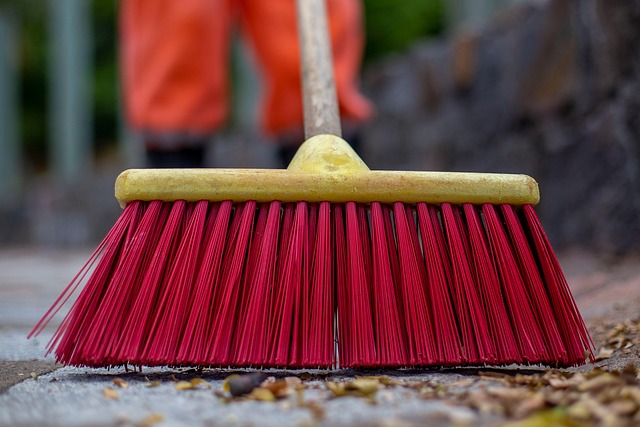 drain cleaning everett