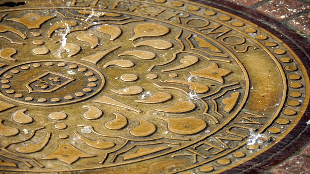 drain inspection