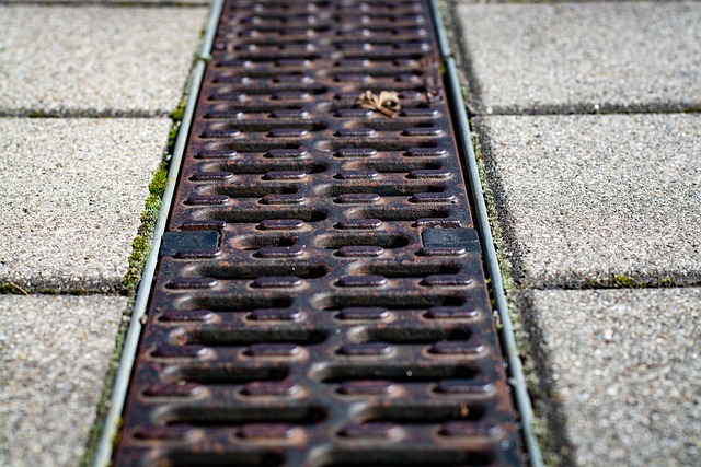 drain inspection