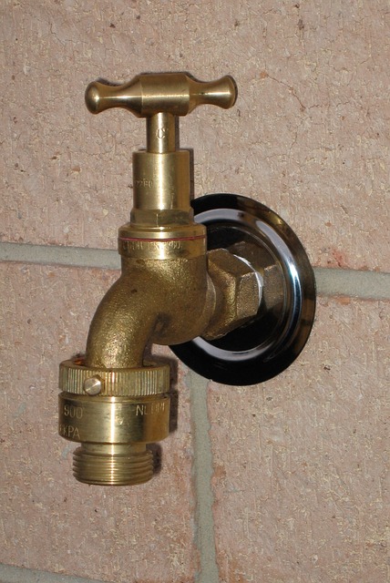 faucet reapir everett