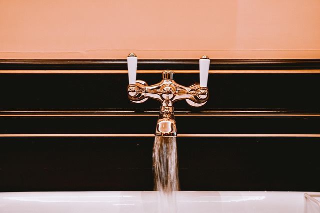 faucet reapir everett