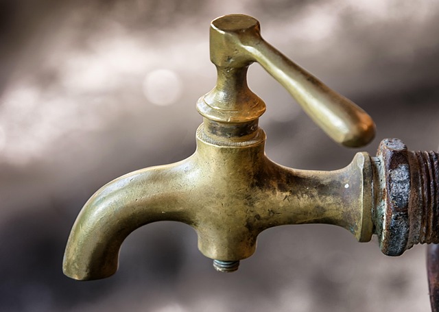 faucet reapir everett