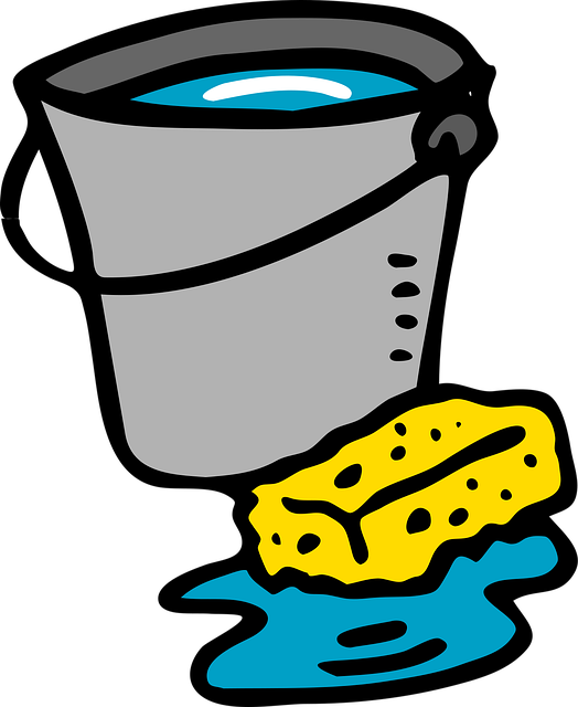 Sewage Backup Cleanup Everett