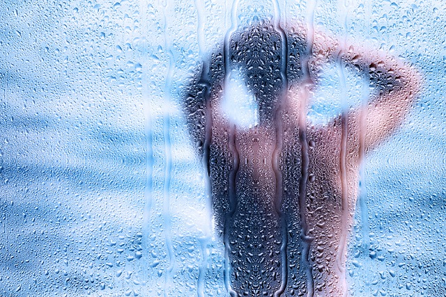 shower repair everett