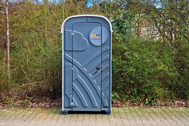 toilet repair everett