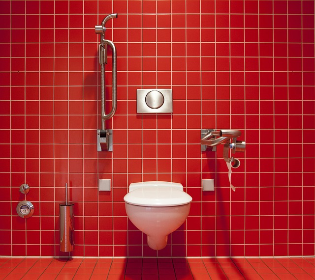 toilet repair everett