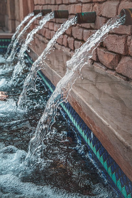 water leak detection everett