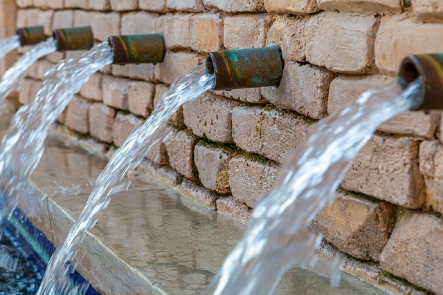 water leak detection everett