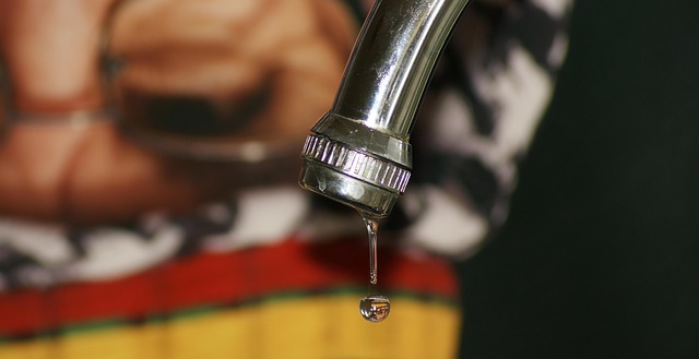 water leak detection everett