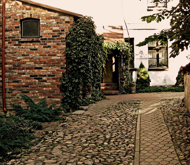 Affordable Structural Design: Local Engineers for Cost-Efficient Homes