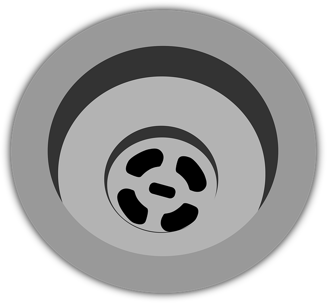 drain cleaning everett