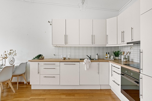 Kitchen Sink Installation Service Everett