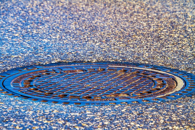 drain cleaning everett