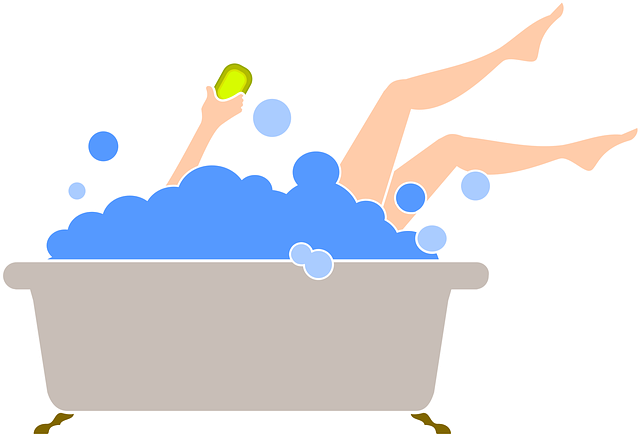 toilet repair everett