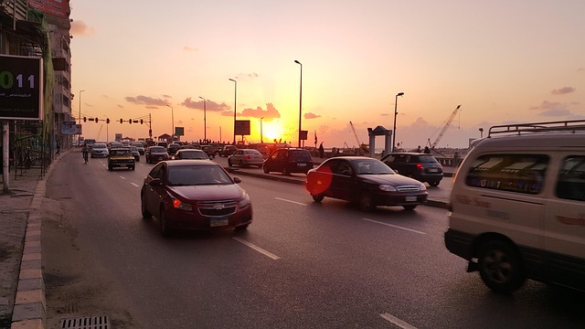 tree care alexandria va