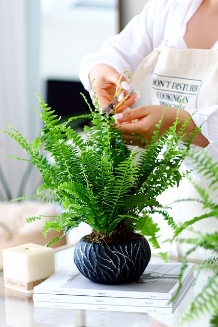 tree care alexandria va