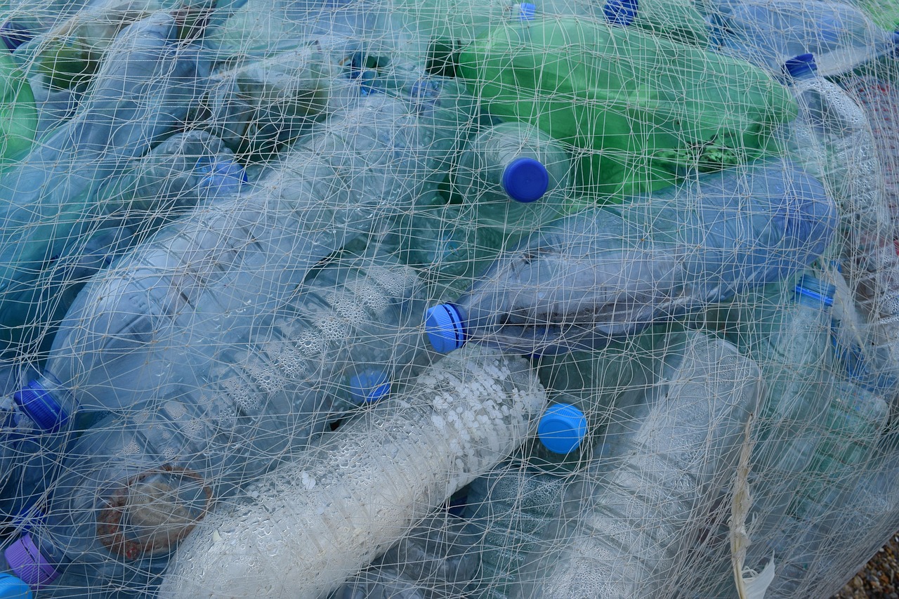 Sewage Backup Cleanup Everett: Emergency Sanitation and Restoration Services