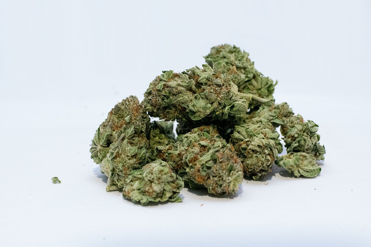 cannabis flowers