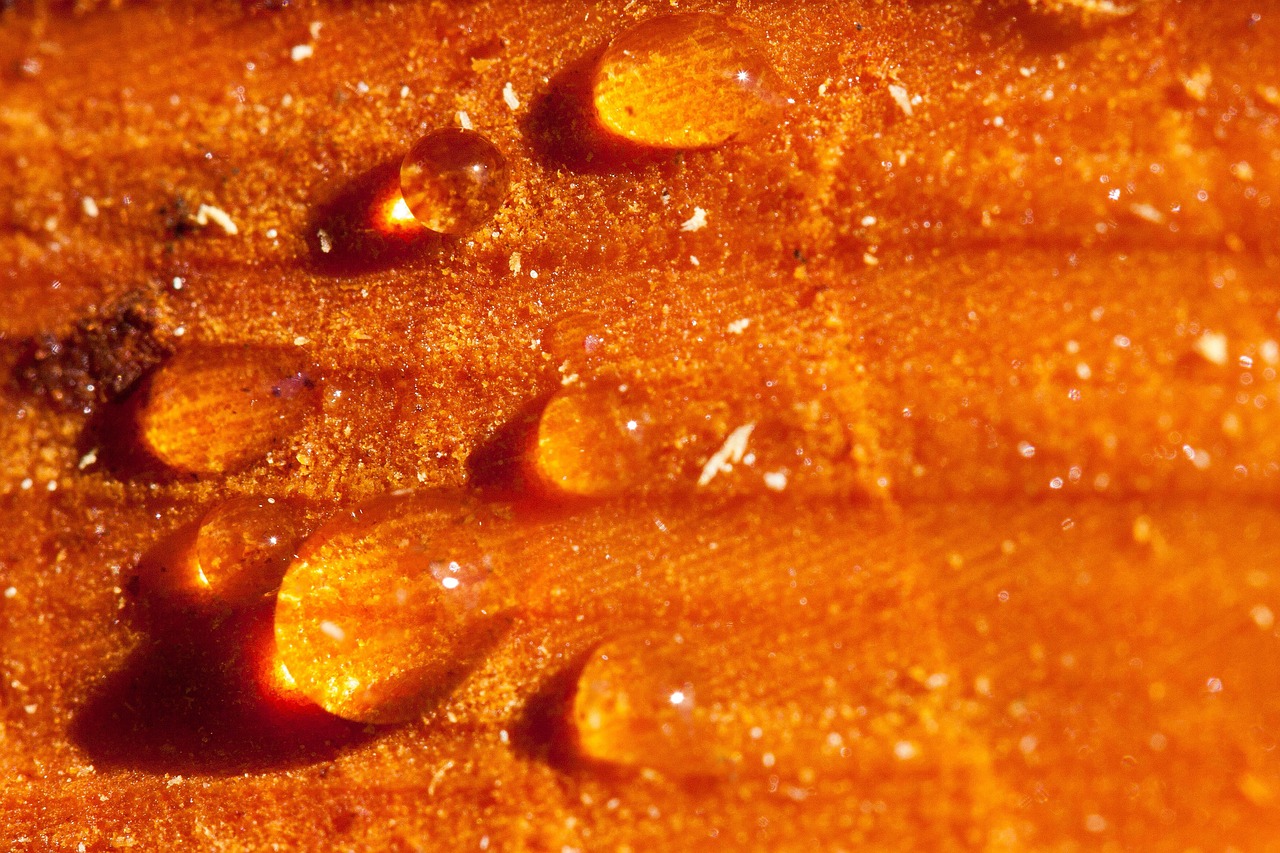 live resin
