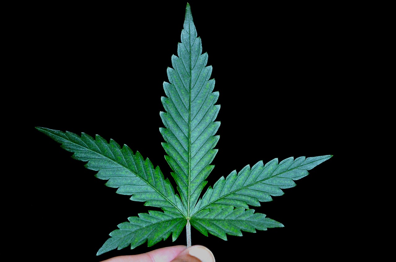 weed delivery hamilton