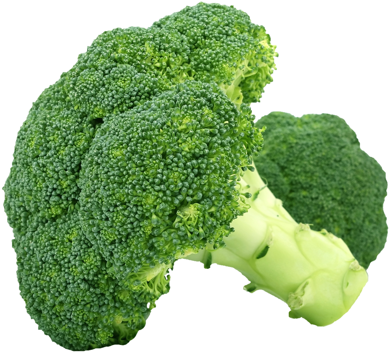 cannabis edibles