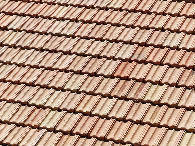 Houston, roof, roof repair