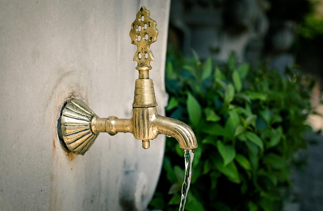 Plumber, plumbing