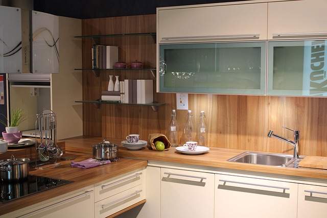 plumber kitchen