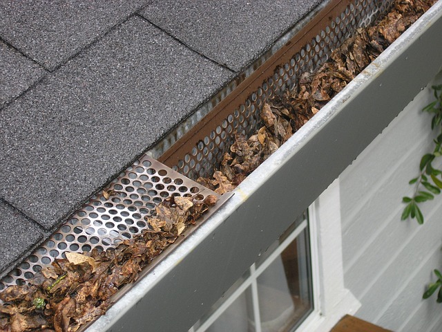 water drainage system
