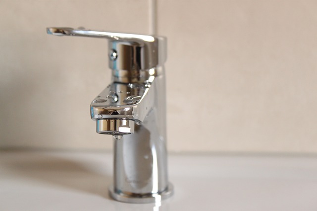 bathroom technician