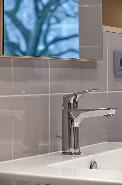 bathroom technician