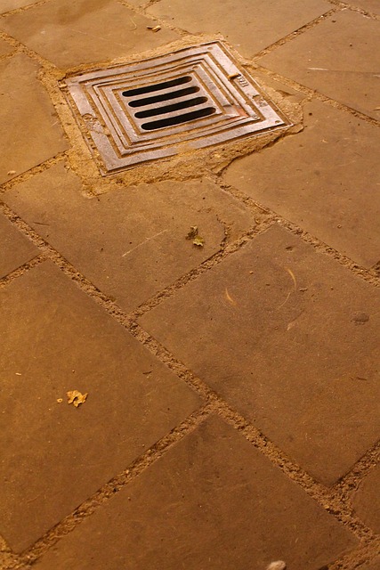 drain cleaning