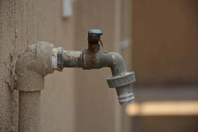 emergency plumber